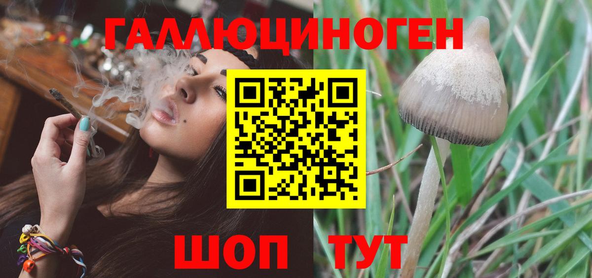 Псилоцибиновые грибы GOLDEN TEACHER  Галлюциногенные грибы Magic Shrooms  Вход с VPN  Курчалой 