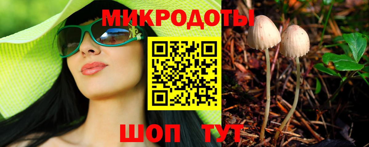 Галлюциногенные грибы Magic Shrooms Курчалой
